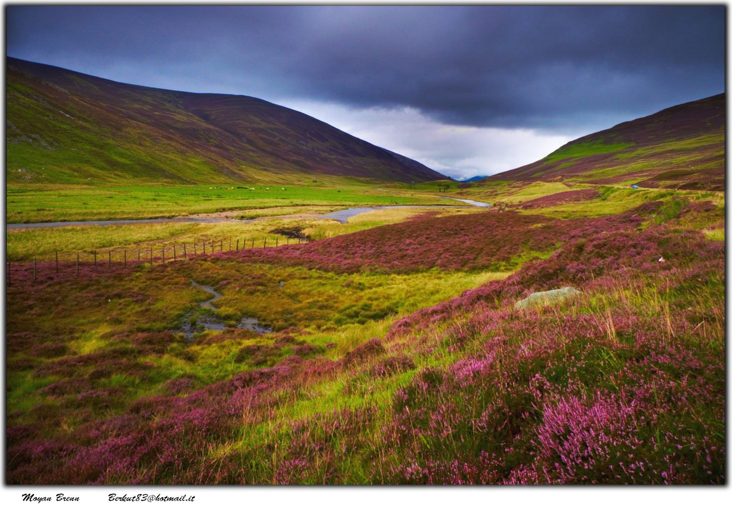The Enchanting Beauty of the Scottish Highlands: A Nature Lover's Paradise